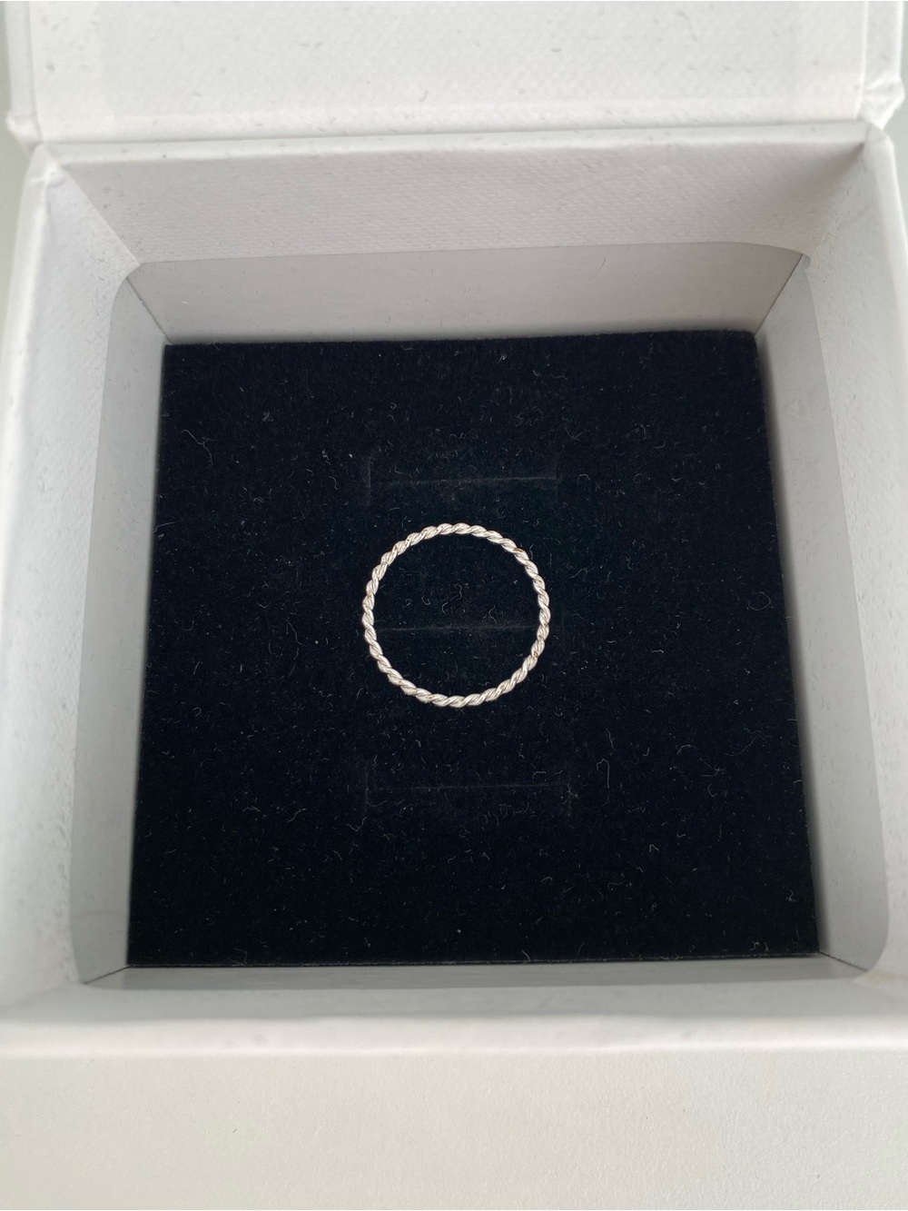 Stainless Steel Silver Tone Twisted Rope Band Ring